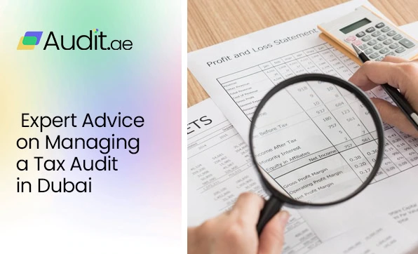 tax audit 