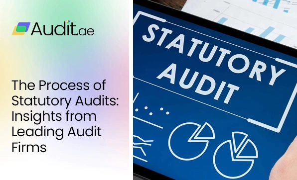 statutory audit firm