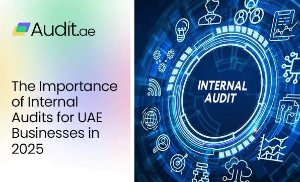 auditors in Dubai