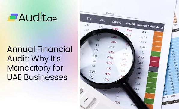 Auditor in Dubai