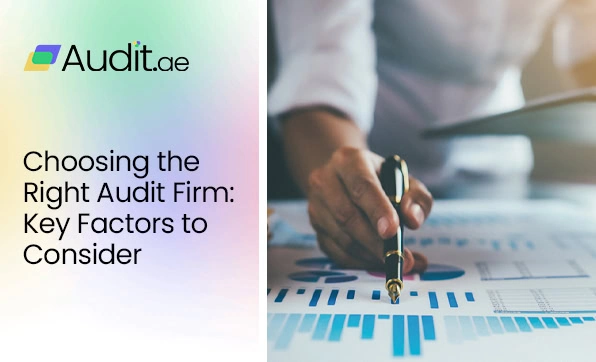 Auditor in Dubai
